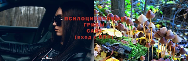 эйфоретик Вязники