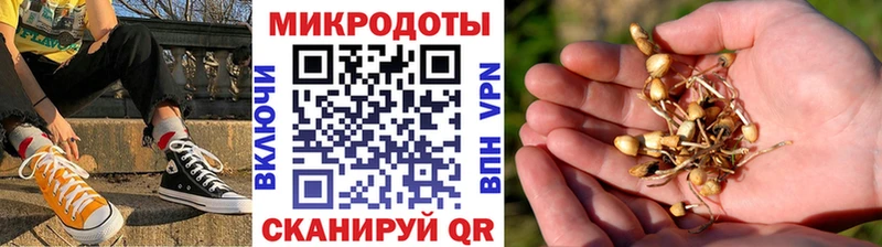 Купить  Кораблино  Галлюциногенные грибы мухоморы 